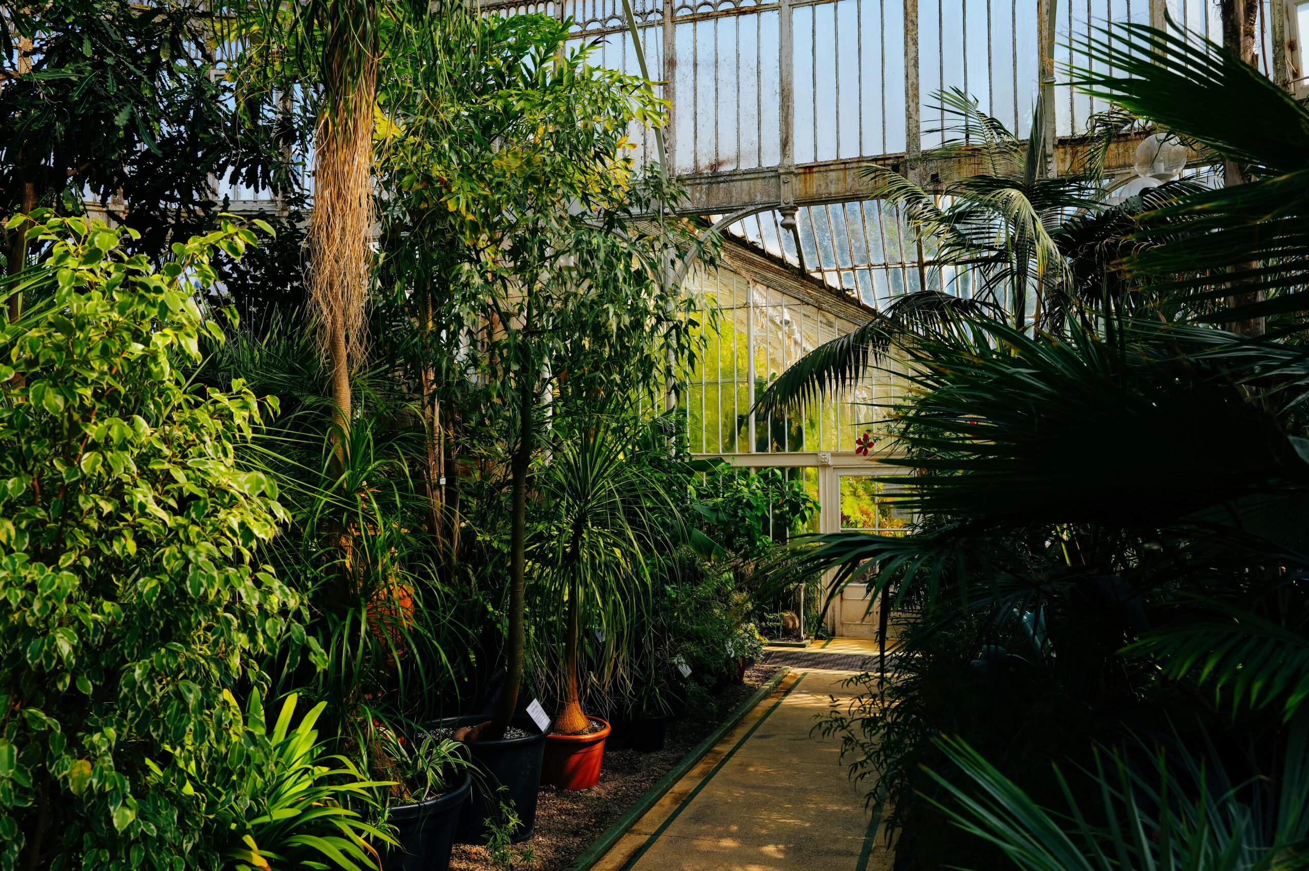 pexels-adrien-olichon-1257089-34672181